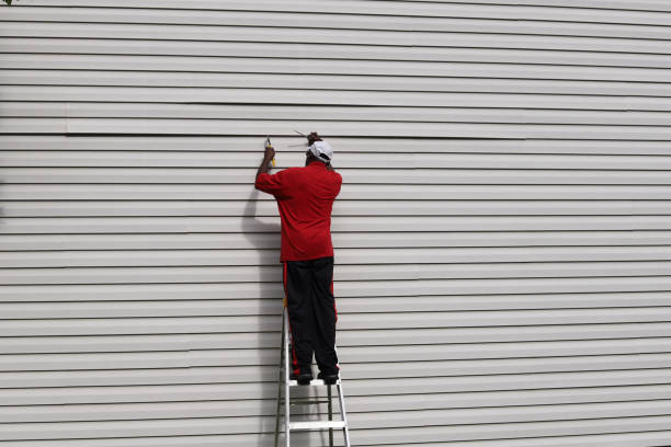 Affordable Siding Repair and Maintenance Services in Madison, IL